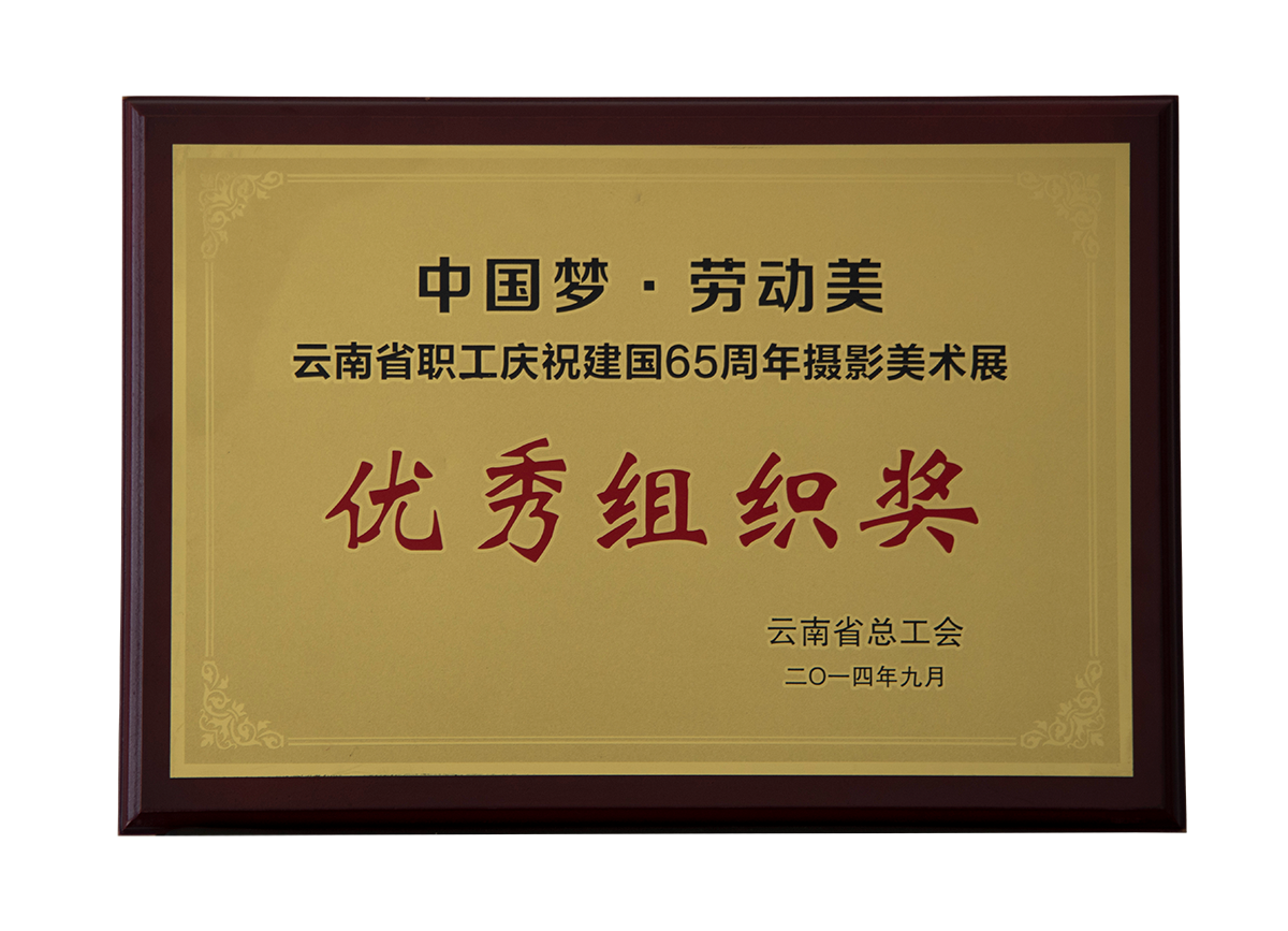 优秀组织奖（建国65周年摄影美术展）